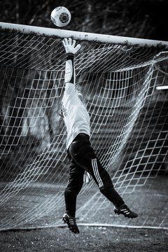 Bild 3862 - Frauen BraWie - FSC Kaltenkirchen : Ergebnis: 0:10